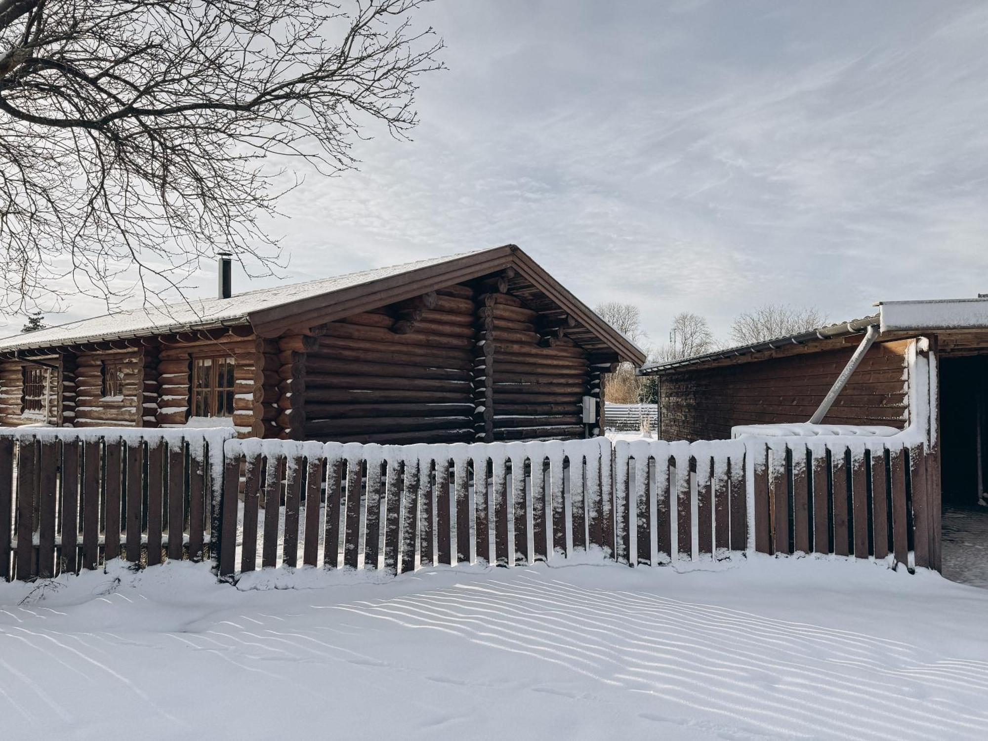 Fjordhygge - Authentic Wood Log Cabin Summerhouse Near Water, Fjord And Forest Jaegerspris Exterior photo